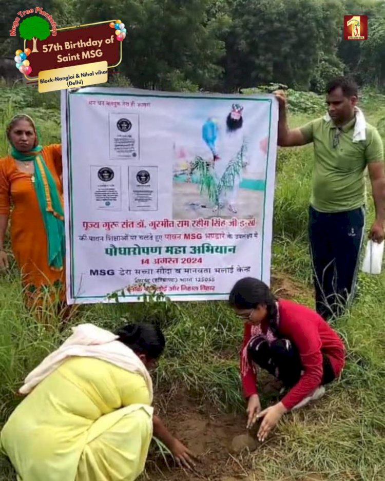 A Sacred Commitment to Sustainability: Honoring MSG Bhandara with a Grand Tree Plantation Drive