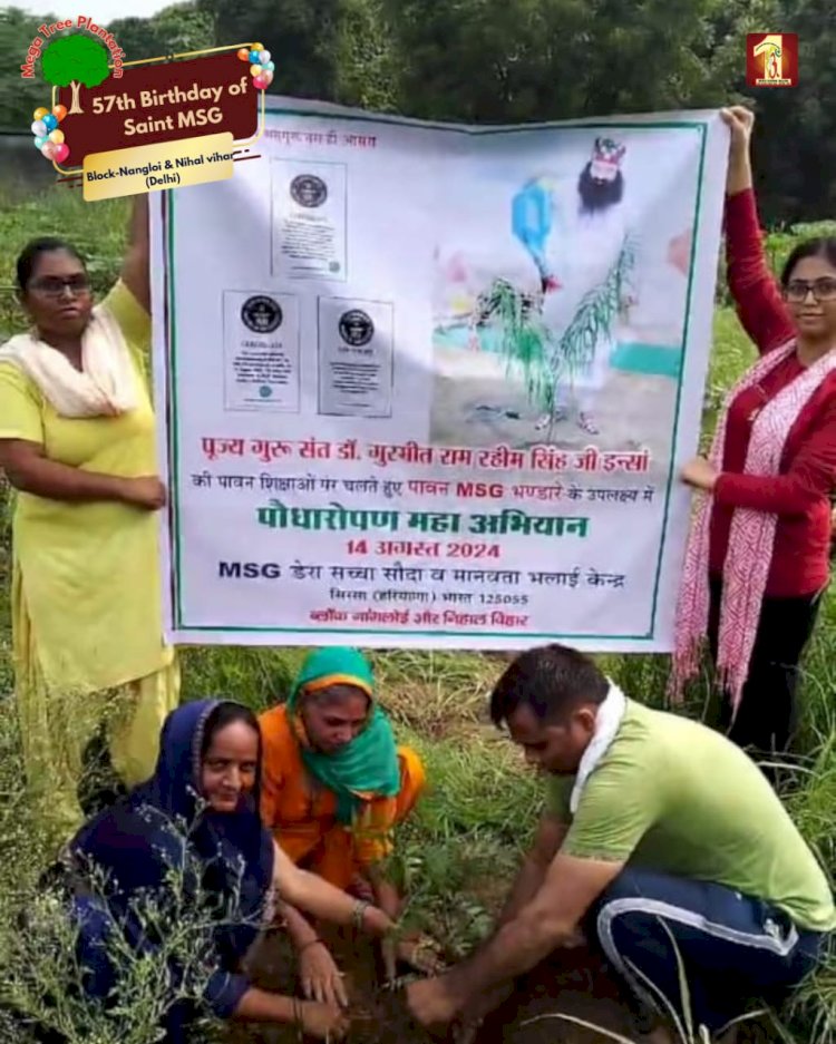 A Sacred Commitment to Sustainability: Honoring MSG Bhandara with a Grand Tree Plantation Drive