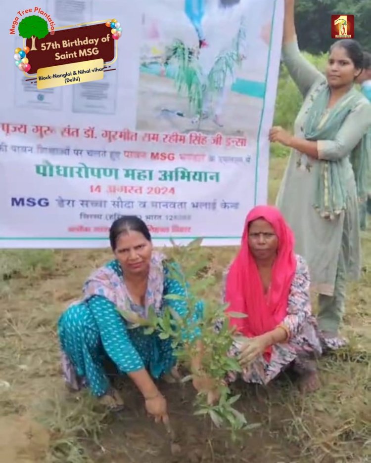 A Sacred Commitment to Sustainability: Honoring MSG Bhandara with a Grand Tree Plantation Drive