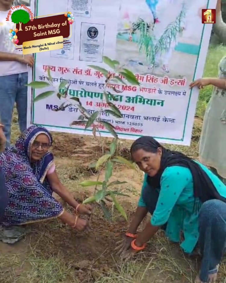 A Sacred Commitment to Sustainability: Honoring MSG Bhandara with a Grand Tree Plantation Drive