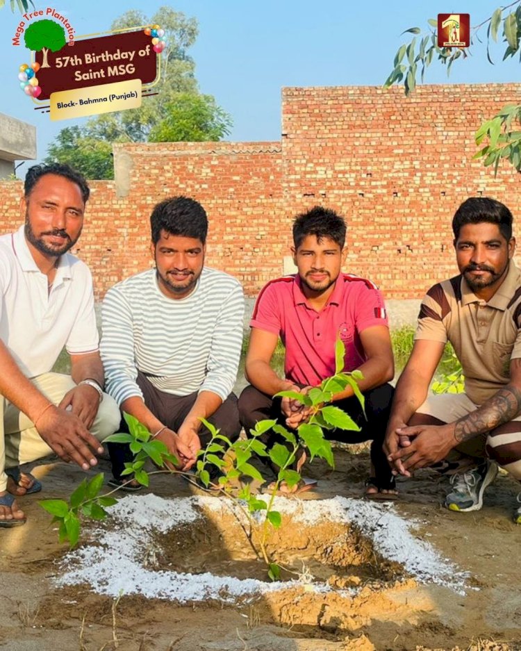 A Sacred Commitment to Sustainability: Honoring MSG Bhandara with a Grand Tree Plantation Drive