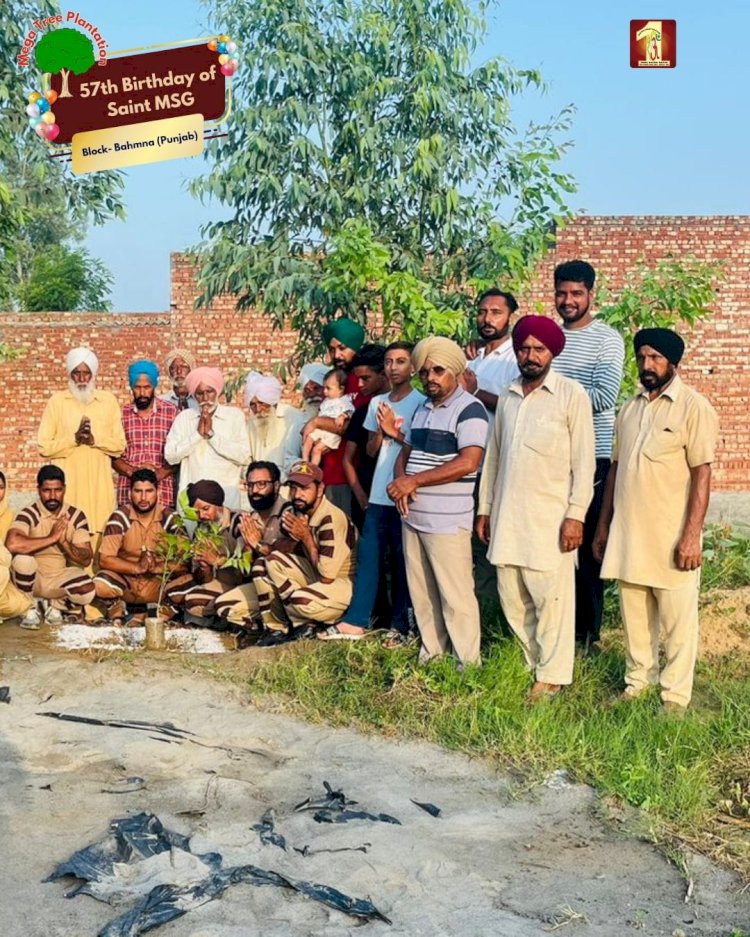 A Sacred Commitment to Sustainability: Honoring MSG Bhandara with a Grand Tree Plantation Drive