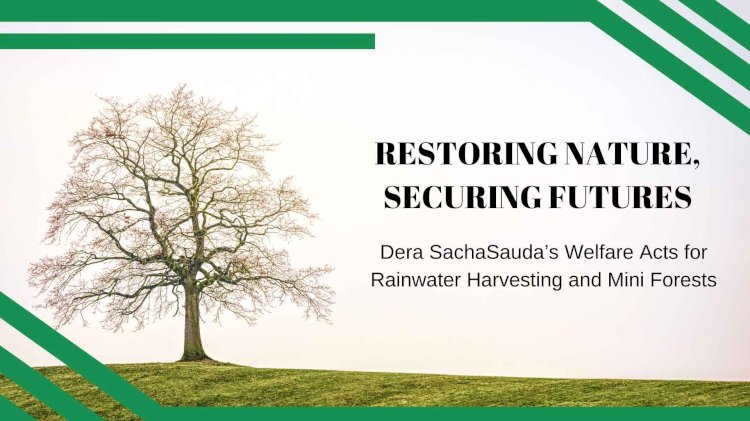 Restoring Nature, Securing Futures: Dera Sacha Sauda’s Welfare Acts for Rainwater Harvesting and Mini Forests