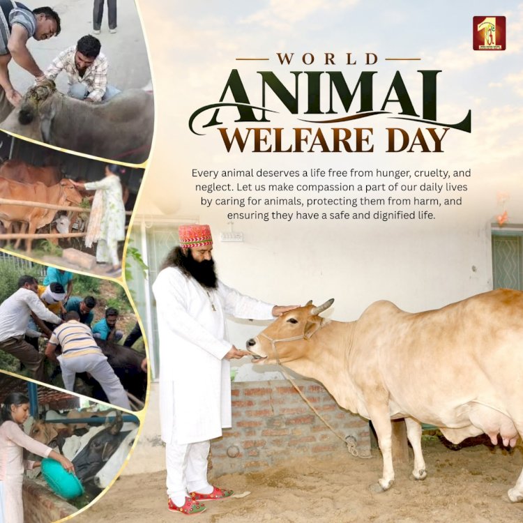 A Voice for the Voiceless: Beyond Words, Beyond Species